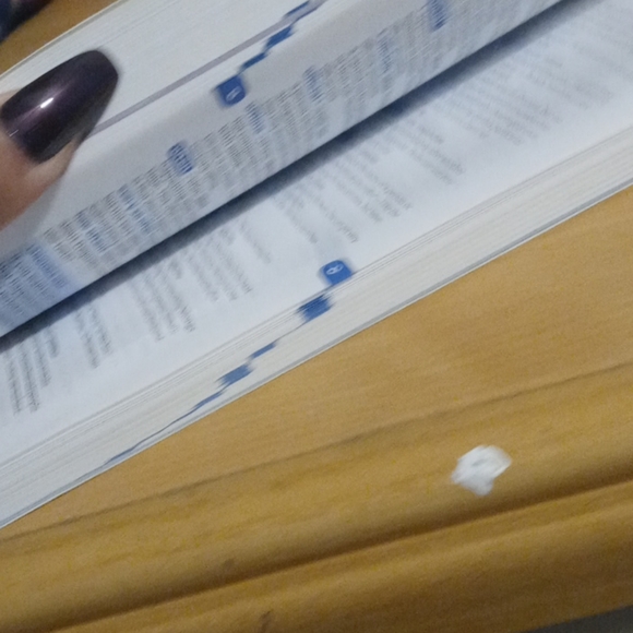 Dictionary - Picture 3 of 3